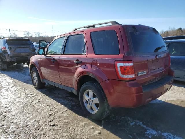 2012 Ford Escape XLT