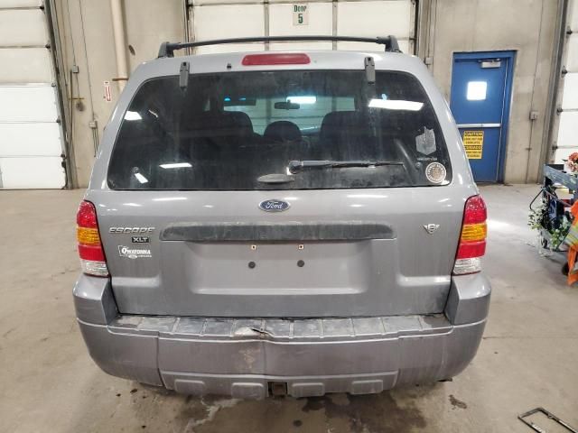 2007 Ford Escape XLT