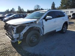 Salvage cars for sale at Graham, WA auction: 2024 Toyota Rav4 LE