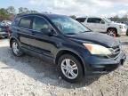 2010 Honda CR-V EXL