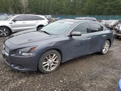 Salvage cars for sale at Graham, WA auction: 2013 Nissan Maxima S