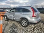 2010 Honda CR-V EXL