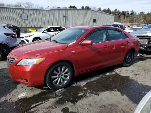 2008 Toyota Camry Hybrid