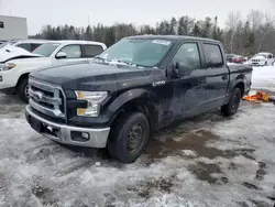 Salvage cars for sale at Cookstown, ON auction: 2016 Ford F150 Supercrew