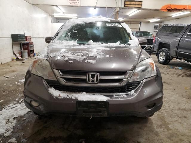 2010 Honda CR-V EXL