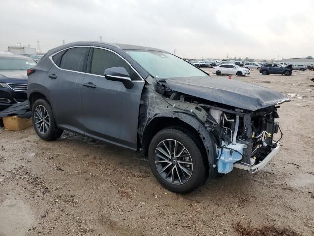 2024 Lexus NX 250 Base