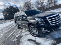 Cars With No Damage for sale at auction: 2016 Cadillac Escalade ESV Luxury