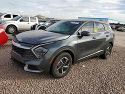 Salvage cars for sale at Phoenix, AZ auction: 2024 KIA Sportage LX