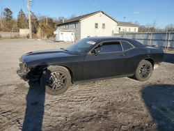 Carros salvage a la venta en subasta: 2019 Dodge Challenger GT