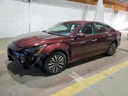 Salvage cars for sale at auction: 2023 Nissan Altima SV