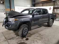 Salvage cars for sale at Eldridge, IA auction: 2016 Toyota Tacoma Double Cab