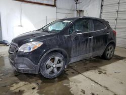 Salvage cars for sale at Lexington, KY auction: 2014 Buick Encore