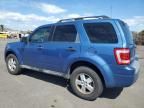 2010 Ford Escape XLS