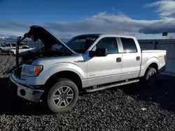 Salvage trucks for sale at Reno, NV auction: 2013 Ford F150 Supercrew