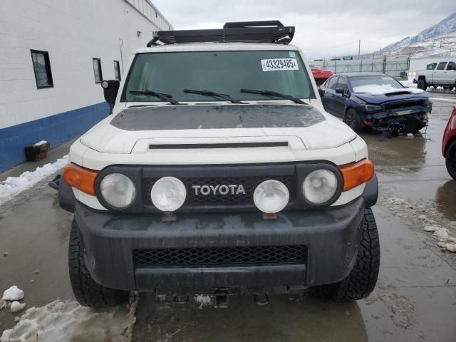 2008 Toyota FJ Cruiser