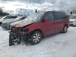 Salvage cars for sale at auction: 2002 Honda Odyssey EX