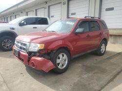 Salvage cars for sale at Louisville, KY auction: 2011 Ford Escape XLT