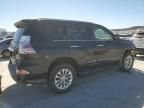 2019 Lexus GX 460