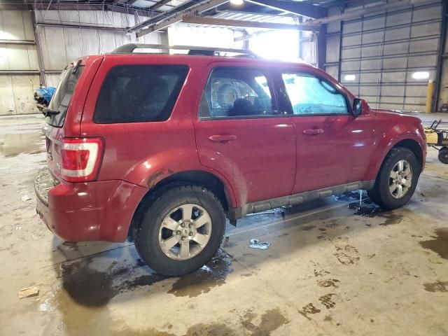 2010 Ford Escape Limited