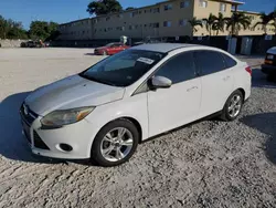 Vehiculos salvage en venta de Copart Opa Locka, FL: 2014 Ford Focus SE