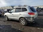 2007 Hyundai Santa FE GLS