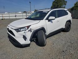 Salvage cars for sale at San Diego, CA auction: 2019 Toyota Rav4 XLE