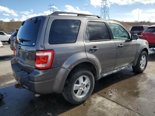 2009 Ford Escape XLT