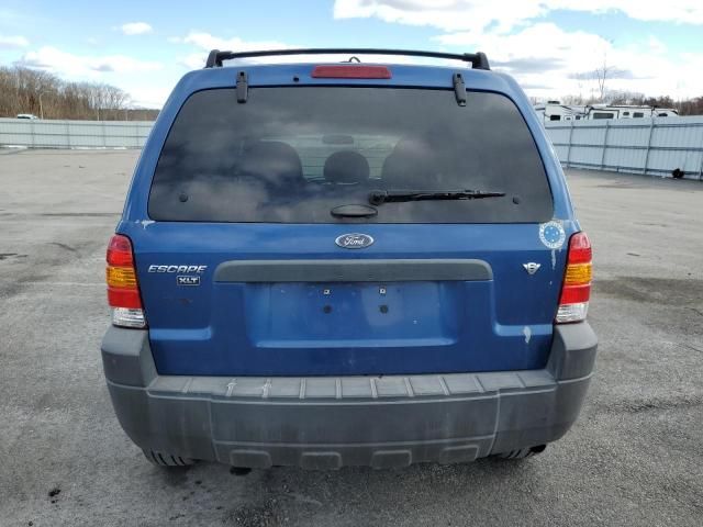 2007 Ford Escape XLT