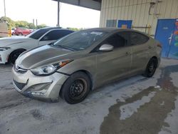 Hyundai Elantra salvage cars for sale: 2016 Hyundai Elantra SE