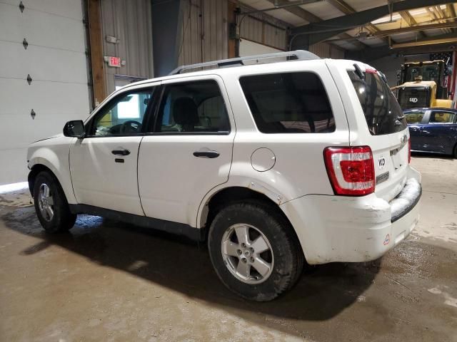 2011 Ford Escape XLT