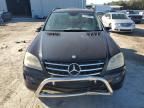 2006 Mercedes-Benz ML 500