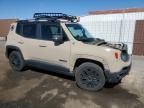 2017 Jeep Renegade Trailhawk