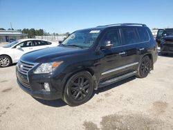 Salvage cars for sale at Harleyville, SC auction: 2013 Lexus LX 570