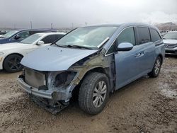 Honda Odyssey ex salvage cars for sale: 2014 Honda Odyssey EX