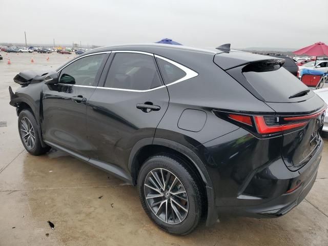 2025 Lexus NX 250 Base