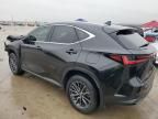 2025 Lexus NX 250 Base