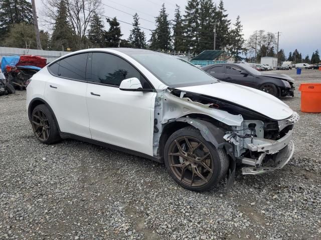 2020 Tesla Model Y