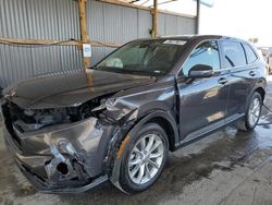 SUV salvage a la venta en subasta: 2024 Honda CR-V EX