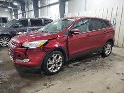 2013 Ford Escape SEL en venta en Ham Lake, MN