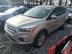 Ford Escape se salvage cars for sale: 2017 Ford Escape SE