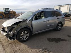 Salvage cars for sale at Albuquerque, NM auction: 2016 Honda Odyssey EXL