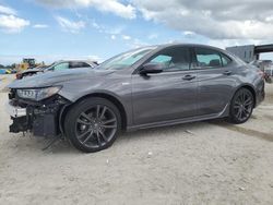 Salvage cars for sale at West Palm Beach, FL auction: 2019 Acura TLX Technology