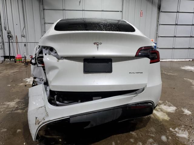 2021 Tesla Model Y