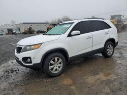 Salvage cars for sale at Hillsborough, NJ auction: 2011 KIA Sorento Base