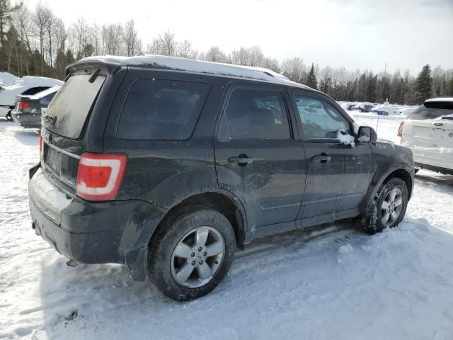 2009 Ford Escape XLT