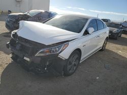 Salvage cars for sale at Tucson, AZ auction: 2017 Hyundai Sonata Hybrid