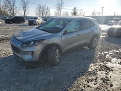 2021 Ford Escape SE en venta en Wayland, MI