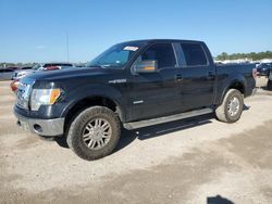 Salvage cars for sale at Houston, TX auction: 2013 Ford F150 Supercrew