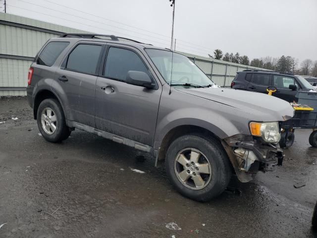 2010 Ford Escape XLS