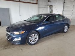 2020 Chevrolet Malibu LT en venta en Lexington, KY